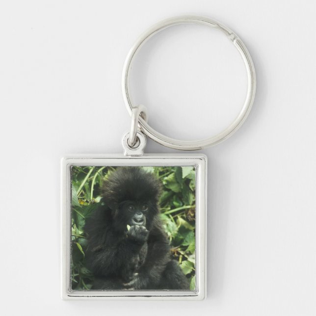 Llavero Gorila de montaña, (Gorilla gorilla beringei), (Frente)