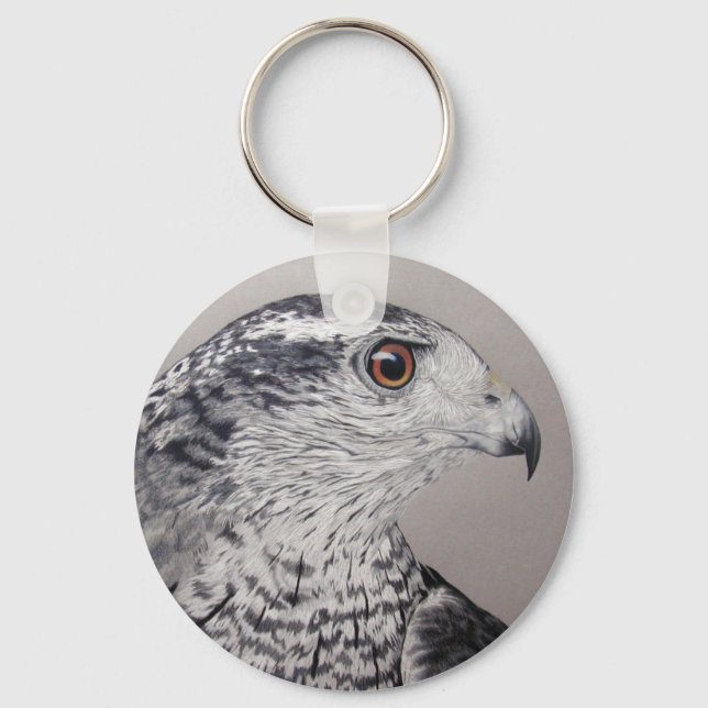 Llavero Goshawk septentrional (Anverso)