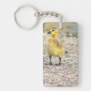 Llavero Gosling Photo Keychain