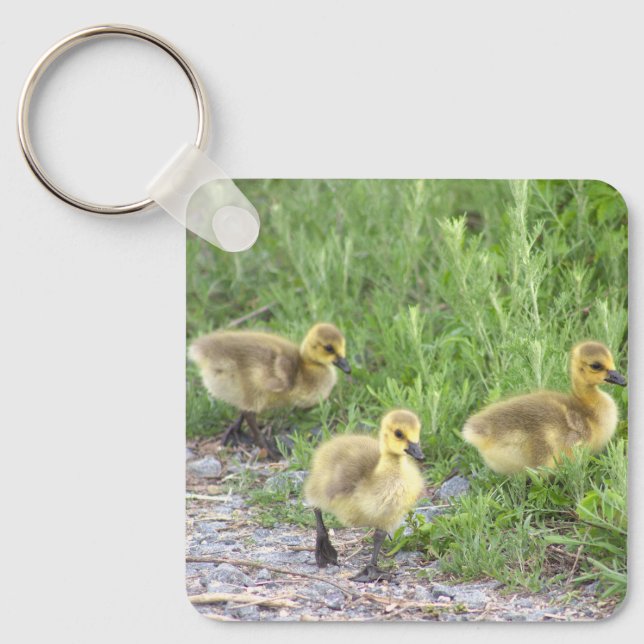 Llavero Goslings Photo Keychain (Anverso)