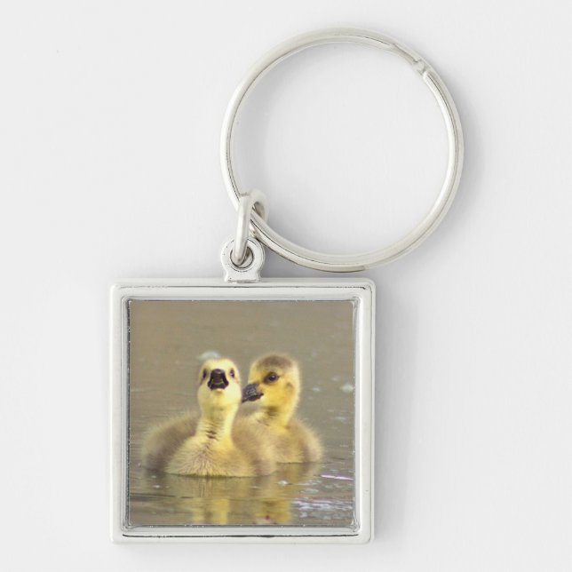 Llavero Goslings Photo Keychain (Frente)