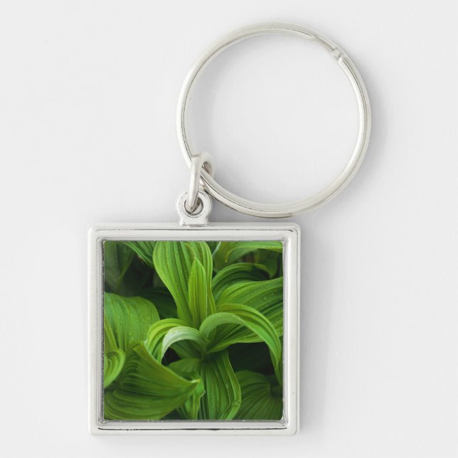 Llavero Gotas de rocío en un Helabore falso (Frente)