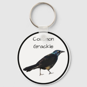 Llavero Grackle común