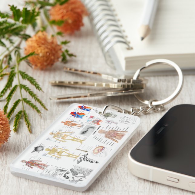 Llavero Gráficos médicos diagramas de anatomía humana (Frente Derecha)