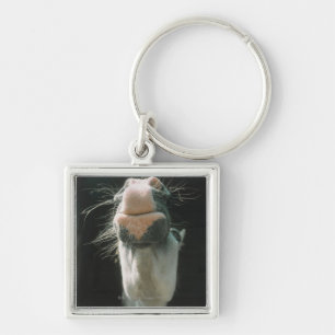 Llavero Gran Bretaña