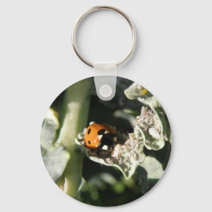 Llavero Gran Bretaña 7 Spot Ladybug Keychain