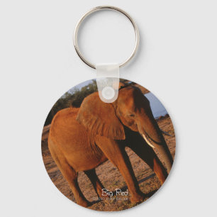 Llavero Gran elefante rojo