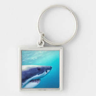 Llavero Gran tiburón blanco   Sudáfrica