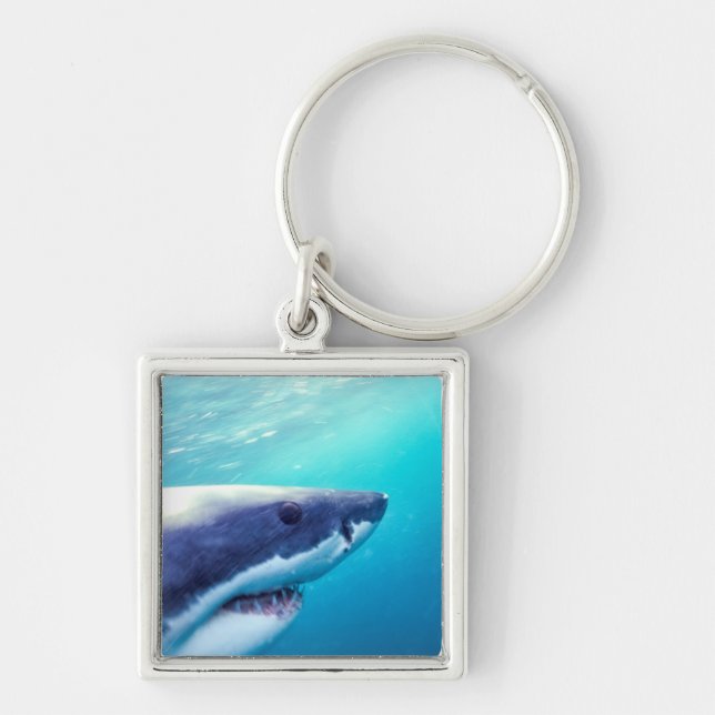 Llavero Gran tiburón blanco | Sudáfrica (Frente)