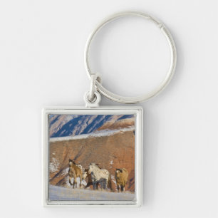 Llavero Grandes montañas Horn, Caballos corriendo