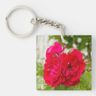 Llavero Grandes rosas rojas en el jardín