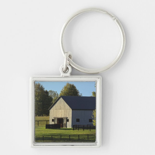 Llavero Granero en granja excelente del caballo en la (Frente)