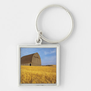 Llavero Granero viejo rústico en campo de trigo maduro en