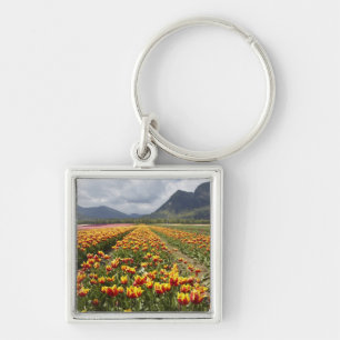 Llavero Granja de tulipanes cerca de Agassiz, Columbia Bri