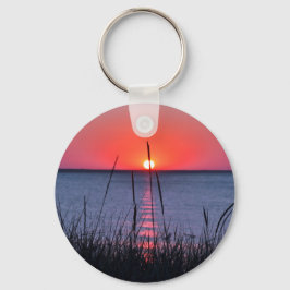 Llavero Gräser im Abendlicht - Insel Rügen