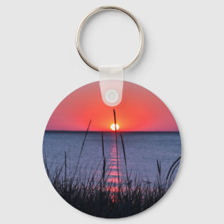 Llavero Gräser im Abendlicht - Insel Rügen