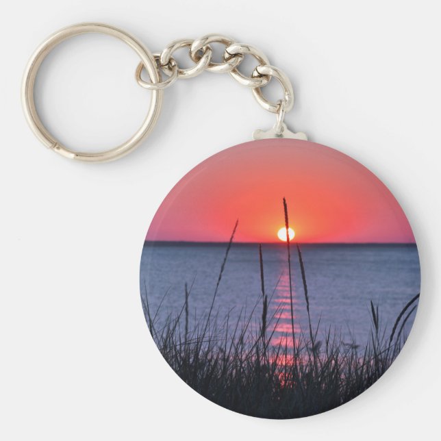 Llavero Gräser im Abendlicht - Insel Rügen (Frente)