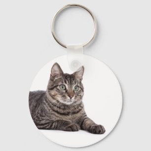 Llavero Gray Tabby Cat