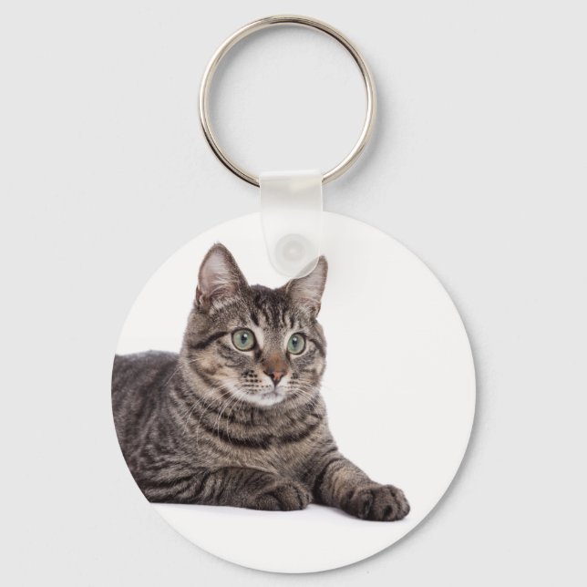 Llavero Gray Tabby Cat (Anverso)