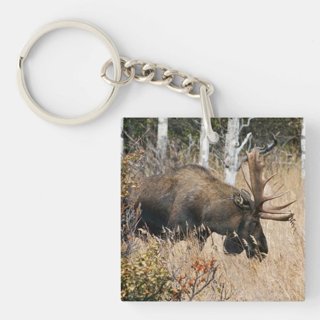 Llavero Grazing Bull Moose (Frente)