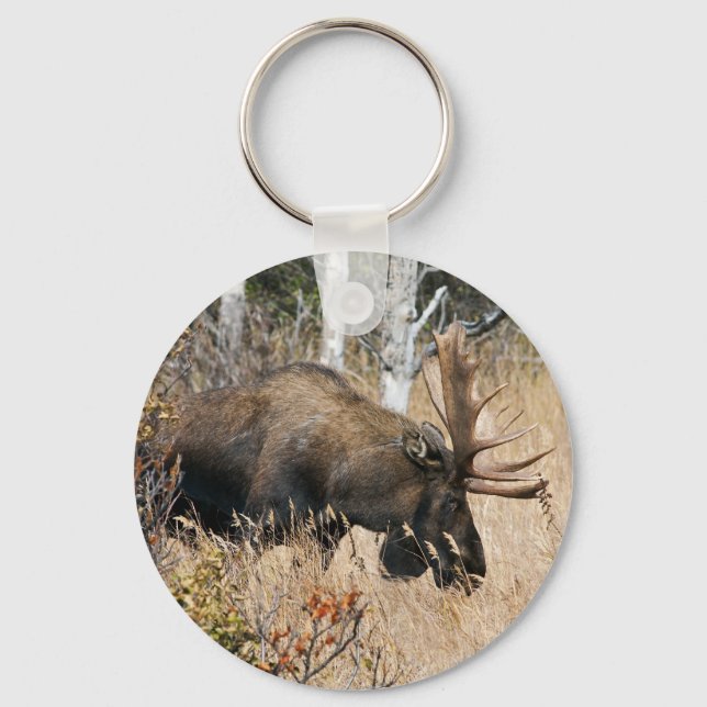 Llavero Grazing Moose (Anverso)