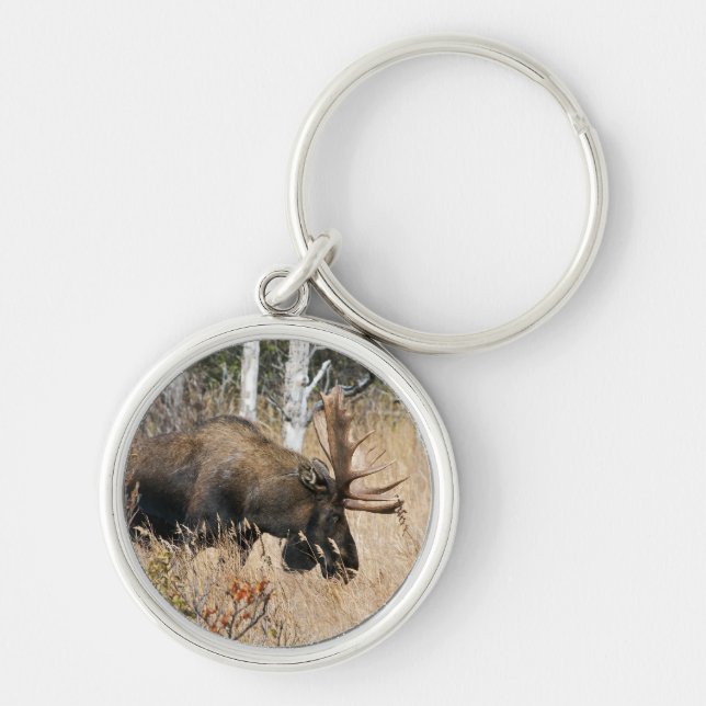 Llavero Grazing Moose (Frente)