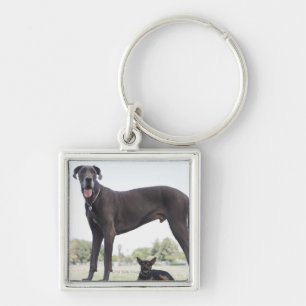 Llavero Great dane y pequeño perro de la mezclado-raza