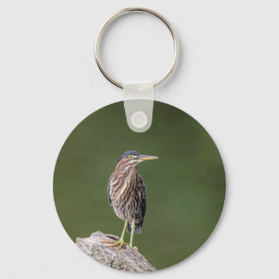 Llavero Green Heron en un blog
