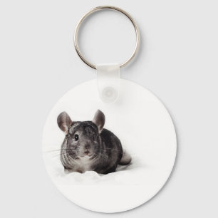 Llavero Grey Chinchilla Cute in Blanket
