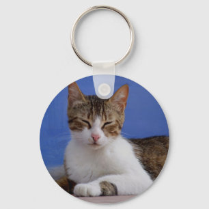 Llavero griego del gato