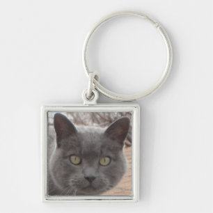 Llavero gris del tejado del gato