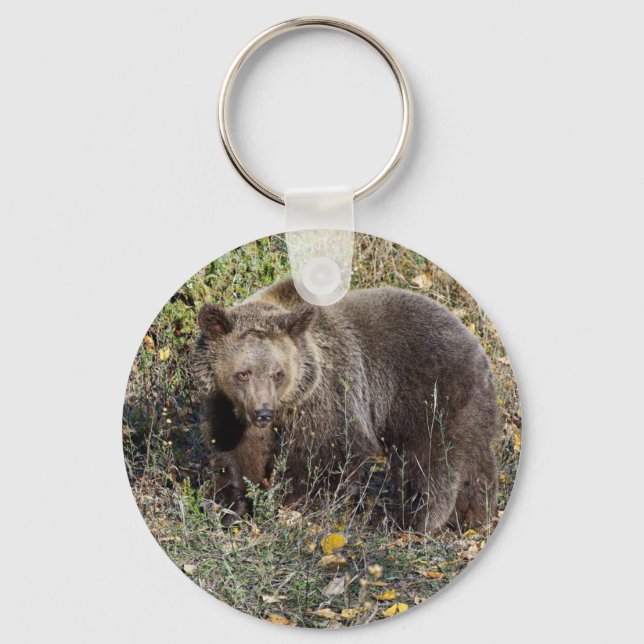 Llavero Grizzly Bear (Anverso)