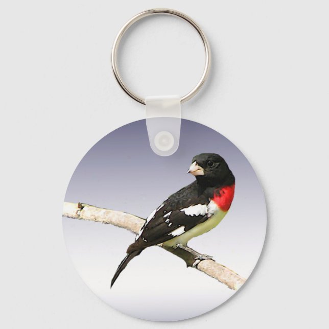 Llavero Grosbeak de pecho Rosa (Anverso)
