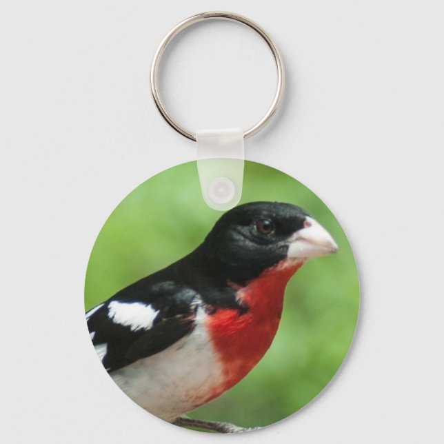 Llavero Grosbeak de pecho Rosa (Anverso)