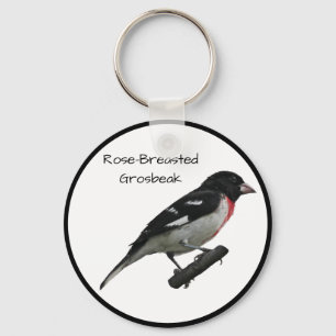Llavero Grosbeak Rosa