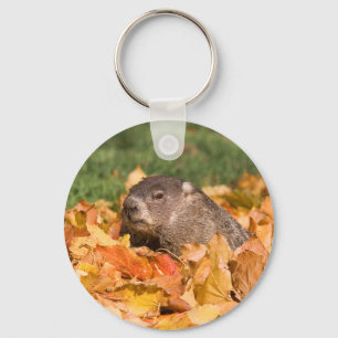 Llavero Groundhog