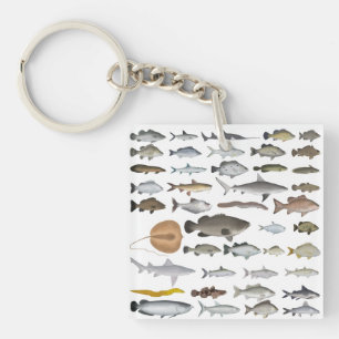 Llavero Grupo de peces de agua dulce de Australia