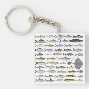 Llavero Grupo de peces de agua dulce del sur de Asia