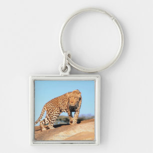 Llavero Guepardo