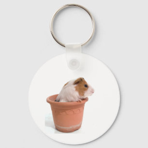 Llavero Guinea pigs en a flowerpot