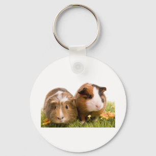 Llavero Guinea pigs se tiene lawn