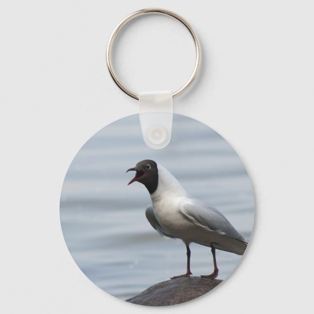 Llavero Gull (Anverso)