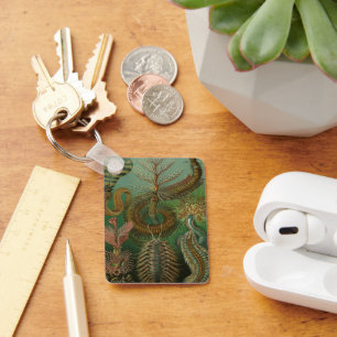 Llavero Gusanos vintage Annelids Chaetopoda por Ernst Haec