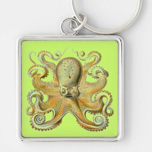 Llavero Haeckel Octopus (Frente)