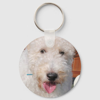 Llavero Hailey - Foto-8 de Fox Terrier