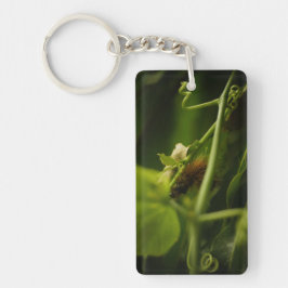 Llavero Hairy Caterpillar