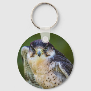 Llavero Halcón de peregrino