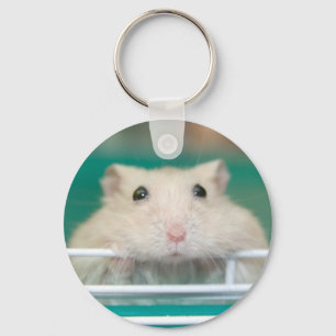 Llavero Hamster: Pidiendo atención
