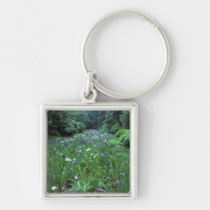 Llavero Hana Shobu (Iris japonés de agua), santuario Meij