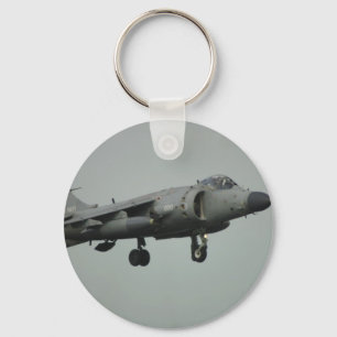 Llavero Harrier